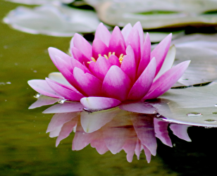 Workshop Zen Meditatie